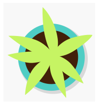 House plant