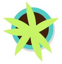 House plant